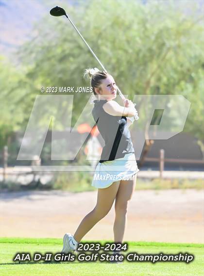 Thumbnail 1 in AIA DII Girls State Golf Championships photogallery.