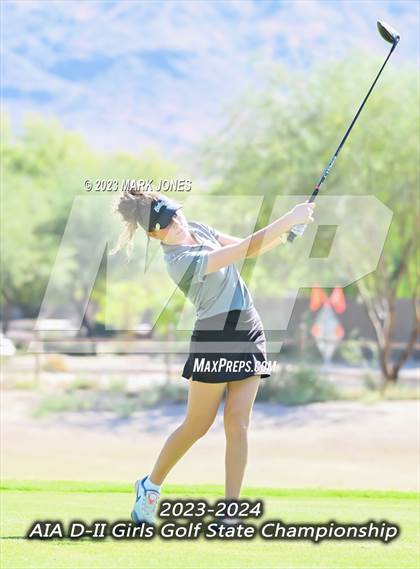 Thumbnail 3 in AIA DII Girls State Golf Championships photogallery.
