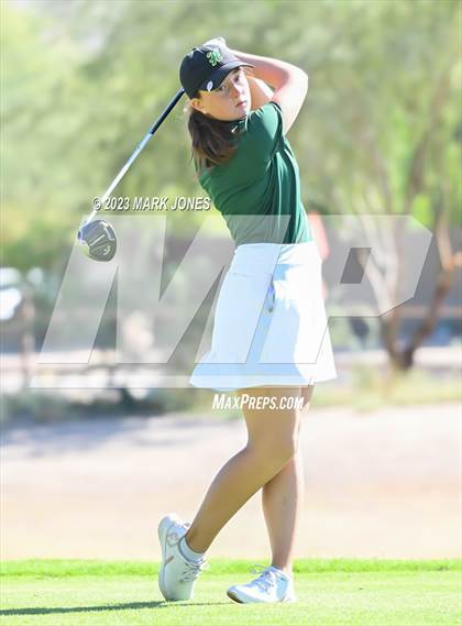 Thumbnail 3 in AIA DII Girls State Golf Championships photogallery.