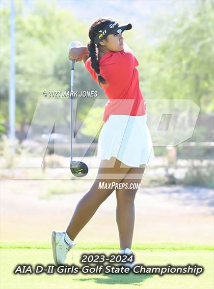 Thumbnail 3 in AIA DII Girls State Golf Championships photogallery.