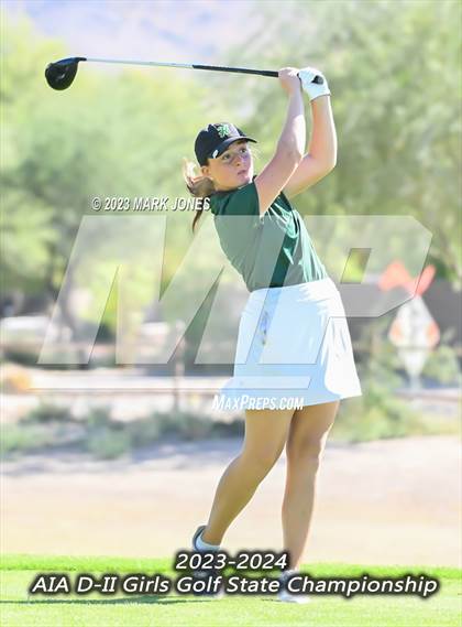 Thumbnail 3 in AIA DII Girls State Golf Championships photogallery.