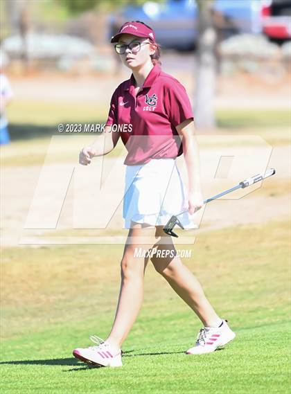 Thumbnail 2 in AIA DII Girls State Golf Championships photogallery.
