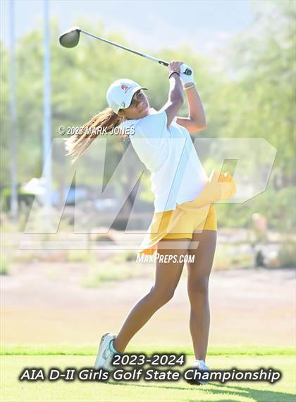 Thumbnail 3 in AIA DII Girls State Golf Championships photogallery.