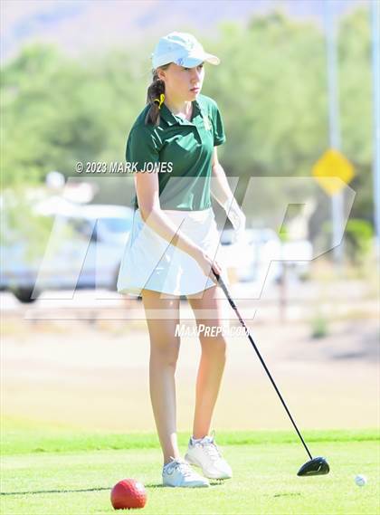 Thumbnail 2 in AIA DII Girls State Golf Championships photogallery.