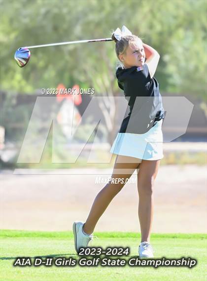 Thumbnail 3 in AIA DII Girls State Golf Championships photogallery.
