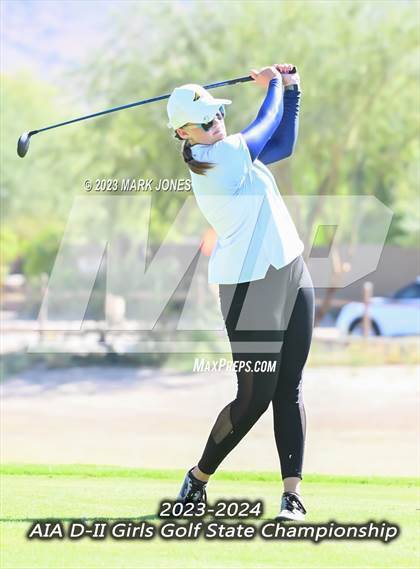 Thumbnail 3 in AIA DII Girls State Golf Championships photogallery.