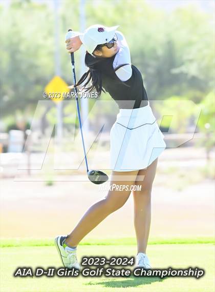 Thumbnail 3 in AIA DII Girls State Golf Championships photogallery.