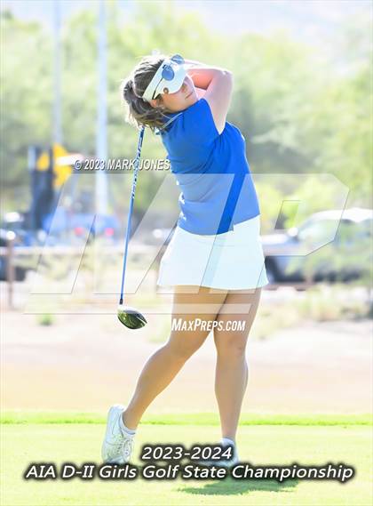 Thumbnail 1 in AIA DII Girls State Golf Championships photogallery.
