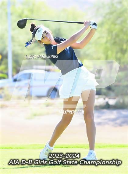 Thumbnail 2 in AIA DII Girls State Golf Championships photogallery.