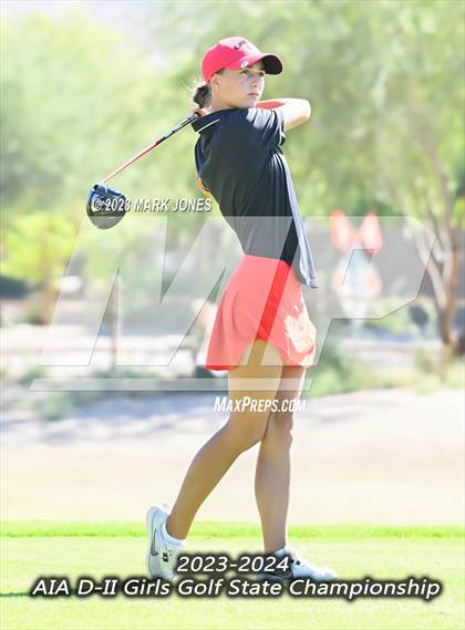 Thumbnail 2 in AIA DII Girls State Golf Championships photogallery.