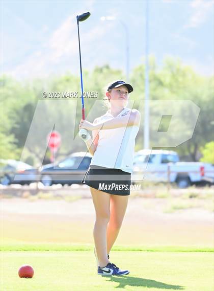Thumbnail 1 in AIA DII Girls State Golf Championships photogallery.