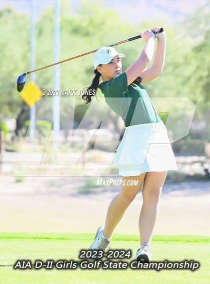 Thumbnail 1 in AIA DII Girls State Golf Championships photogallery.