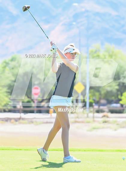 Thumbnail 3 in AIA DII Girls State Golf Championships photogallery.