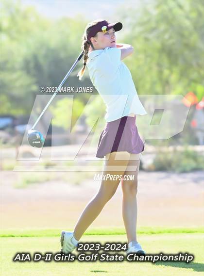 Thumbnail 3 in AIA DII Girls State Golf Championships photogallery.