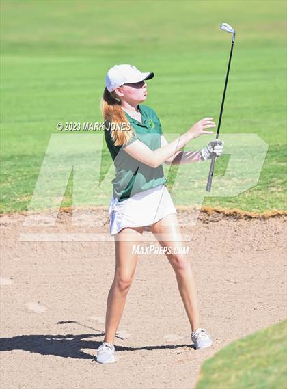 Thumbnail 3 in AIA DII Girls State Golf Championships photogallery.