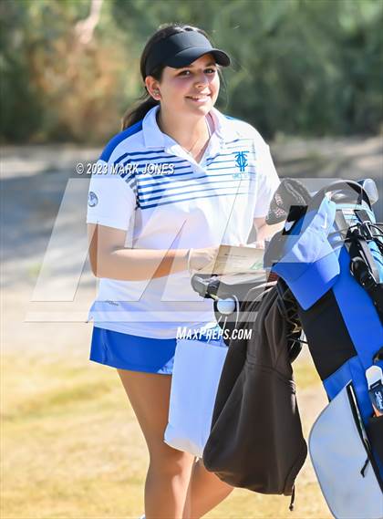 Thumbnail 1 in AIA DII Girls State Golf Championships photogallery.