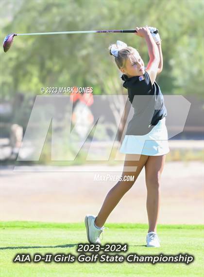 Thumbnail 3 in AIA DII Girls State Golf Championships photogallery.