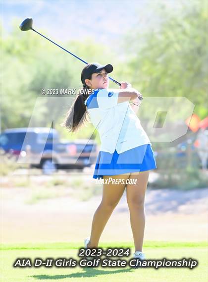 Thumbnail 2 in AIA DII Girls State Golf Championships photogallery.