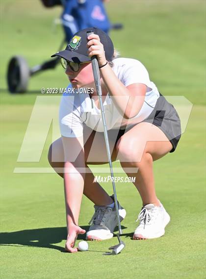 Thumbnail 1 in AIA DII Girls State Golf Championships photogallery.