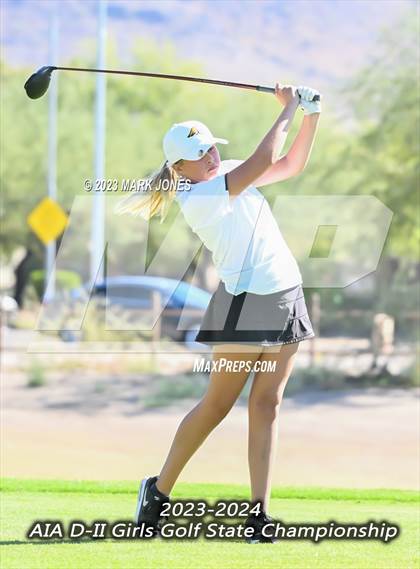 Thumbnail 1 in AIA DII Girls State Golf Championships photogallery.