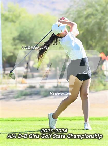 Thumbnail 3 in AIA DII Girls State Golf Championships photogallery.