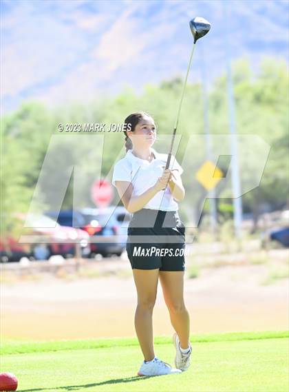 Thumbnail 1 in AIA DII Girls State Golf Championships photogallery.