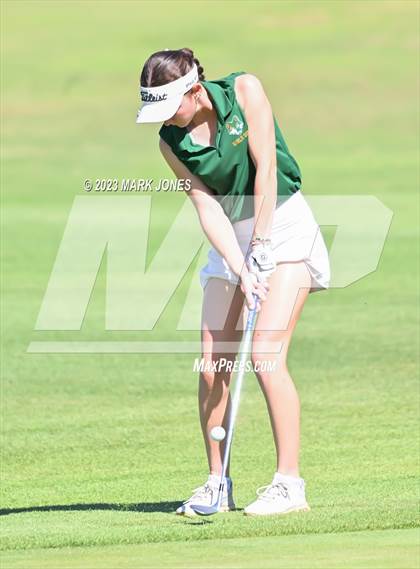 Thumbnail 2 in AIA DII Girls State Golf Championships photogallery.