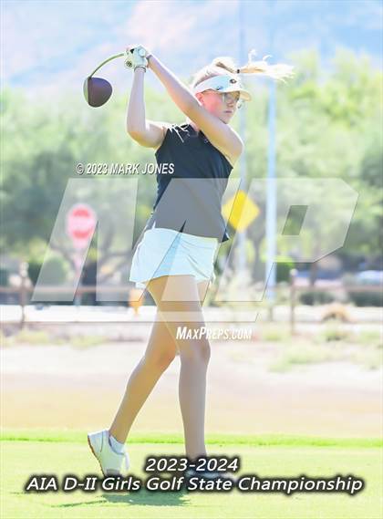 Thumbnail 2 in AIA DII Girls State Golf Championships photogallery.