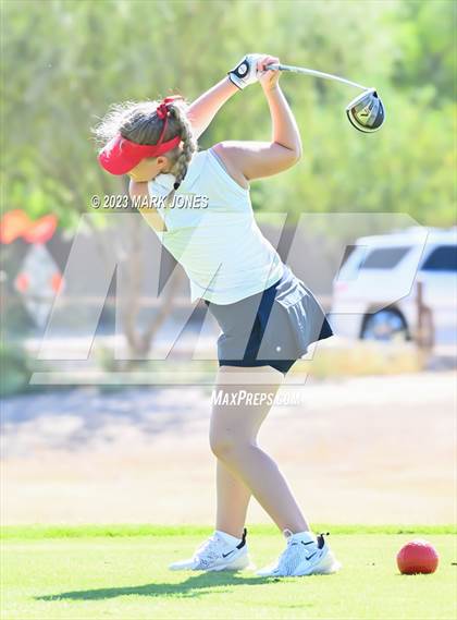 Thumbnail 1 in AIA DII Girls State Golf Championships photogallery.