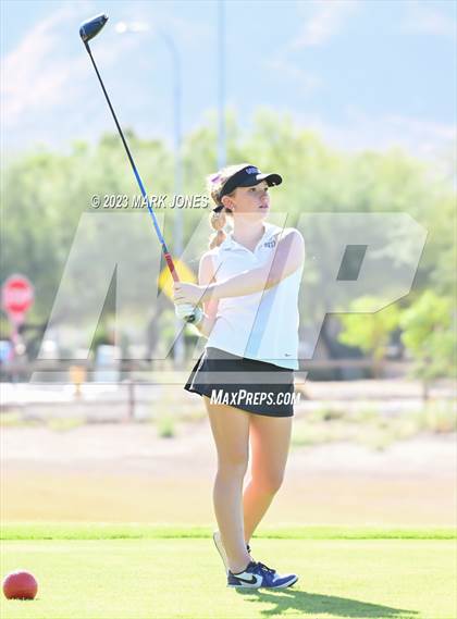 Thumbnail 2 in AIA DII Girls State Golf Championships photogallery.