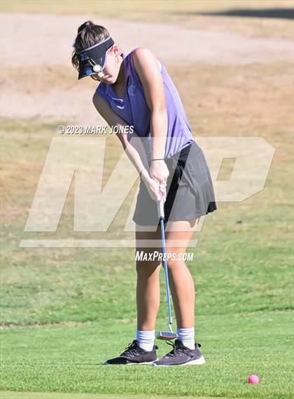 Thumbnail 1 in AIA DII Girls State Golf Championships photogallery.