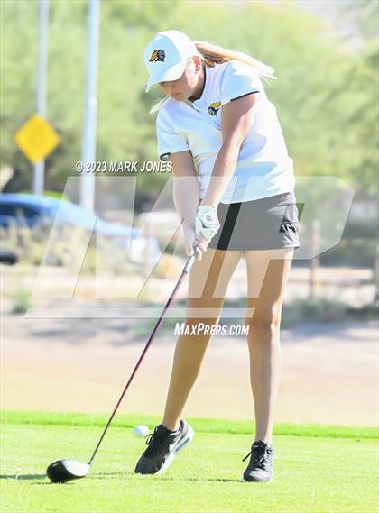 Thumbnail 3 in AIA DII Girls State Golf Championships photogallery.