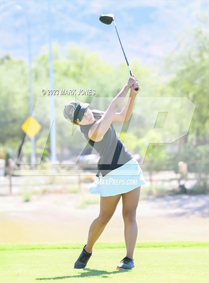 Thumbnail 3 in AIA DII Girls State Golf Championships photogallery.
