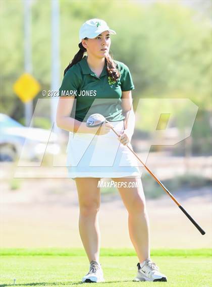 Thumbnail 2 in AIA DII Girls State Golf Championships photogallery.