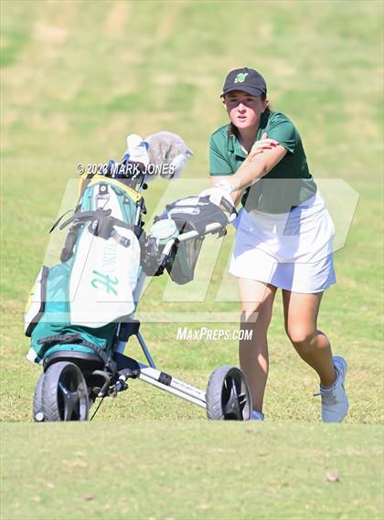 Thumbnail 2 in AIA DII Girls State Golf Championships photogallery.