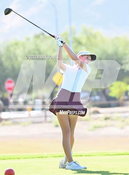 Thumbnail 2 in AIA DII Girls State Golf Championships photogallery.