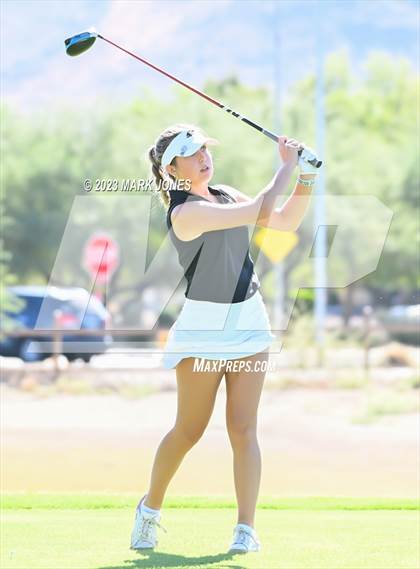 Thumbnail 2 in AIA DII Girls State Golf Championships photogallery.