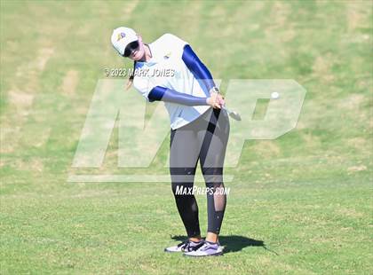 Thumbnail 3 in AIA DII Girls State Golf Championships photogallery.