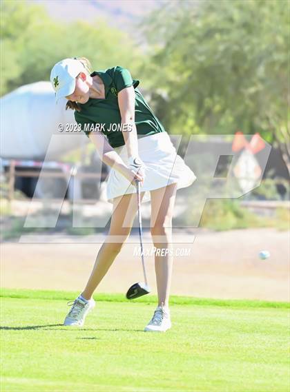 Thumbnail 3 in AIA DII Girls State Golf Championships photogallery.