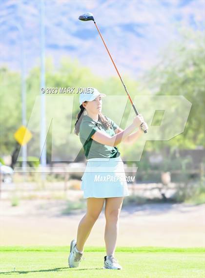 Thumbnail 1 in AIA DII Girls State Golf Championships photogallery.