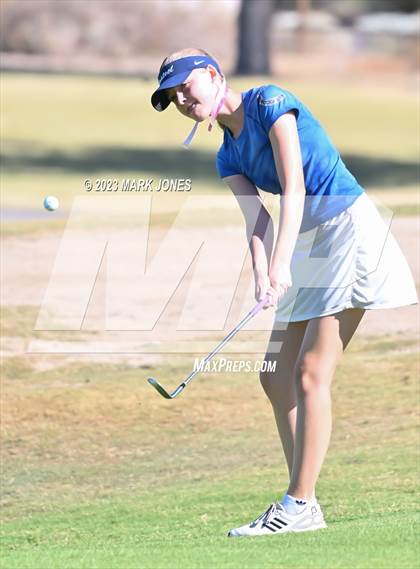 Thumbnail 3 in AIA DII Girls State Golf Championships photogallery.