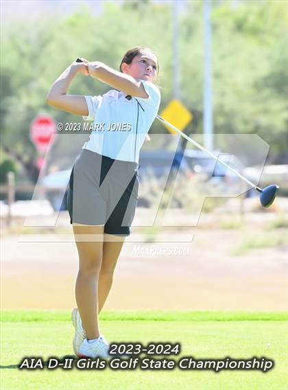 Thumbnail 2 in AIA DII Girls State Golf Championships photogallery.