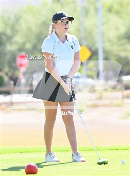 Thumbnail 1 in AIA DII Girls State Golf Championships photogallery.