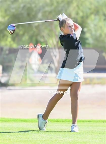 Thumbnail 2 in AIA DII Girls State Golf Championships photogallery.