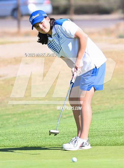 Thumbnail 3 in AIA DII Girls State Golf Championships photogallery.