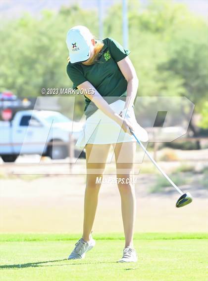 Thumbnail 2 in AIA DII Girls State Golf Championships photogallery.