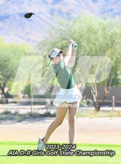 Thumbnail 1 in AIA DII Girls State Golf Championships photogallery.