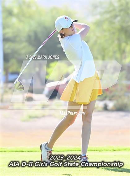 Thumbnail 3 in AIA DII Girls State Golf Championships photogallery.