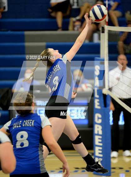 Thumbnail 1 in Rhea County @ Sale Creek photogallery.