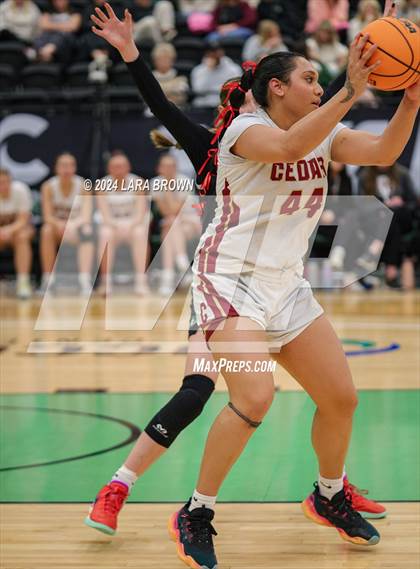 Thumbnail 1 in Green Canyon vs. Cedar (UHSAA 4A Quarterfinal) photogallery.